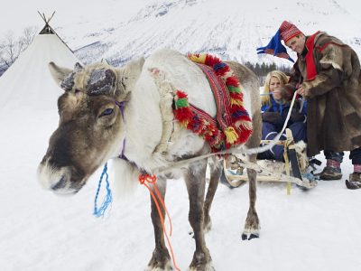 ~no:Reinsdyrkjøring~en:Reindeer Sledding