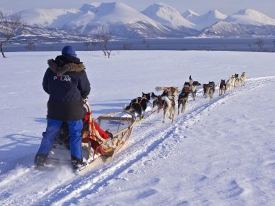 ~no: Hundekjøring ~en: Dog sledding