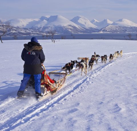 ~no: Hundekjøring ~en: Dog sledding