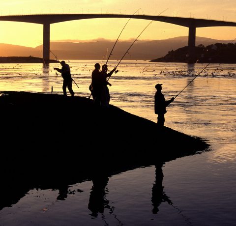 Saltstraumen, Bodø - småseifiske, sommernatt, Saltstraumbrua.